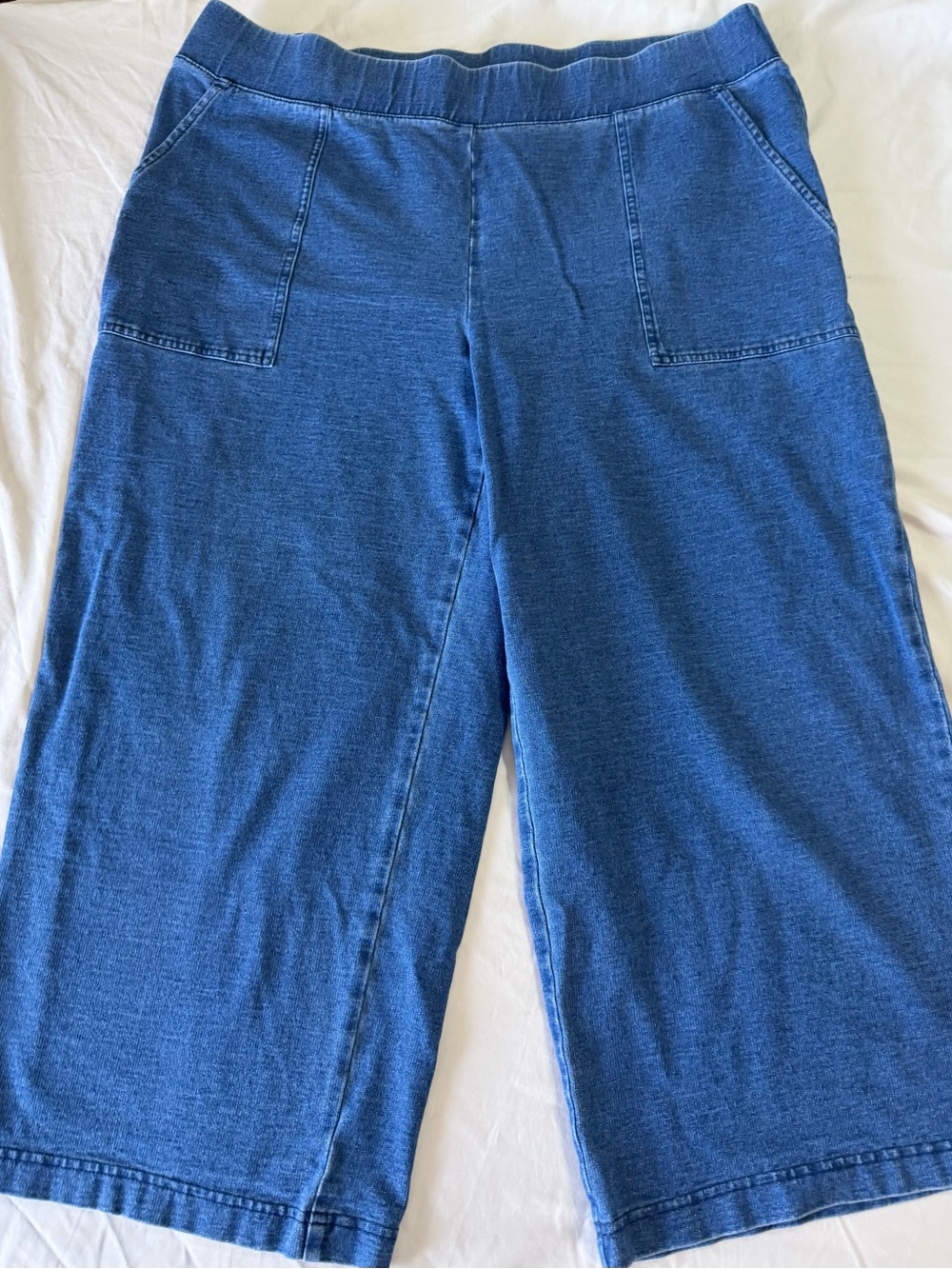 Blue Wide-Leg Pull-On Cropped Pants